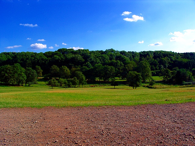 Naturwildpark Freisen